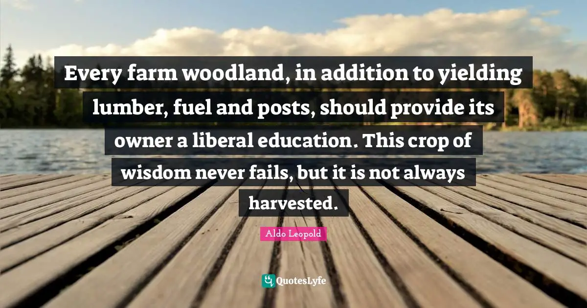Every farm woodland, in addition to yielding lumber, fuel and posts, should provide its owner a liberal education. This crop of wisdom never fails, but it is not always harvested.