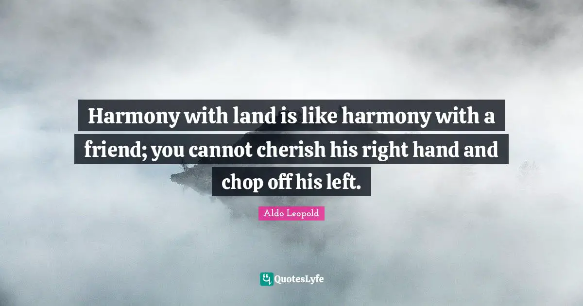 Harmony with land is like harmony with a friend; you cannot cherish his right hand and chop off his left.