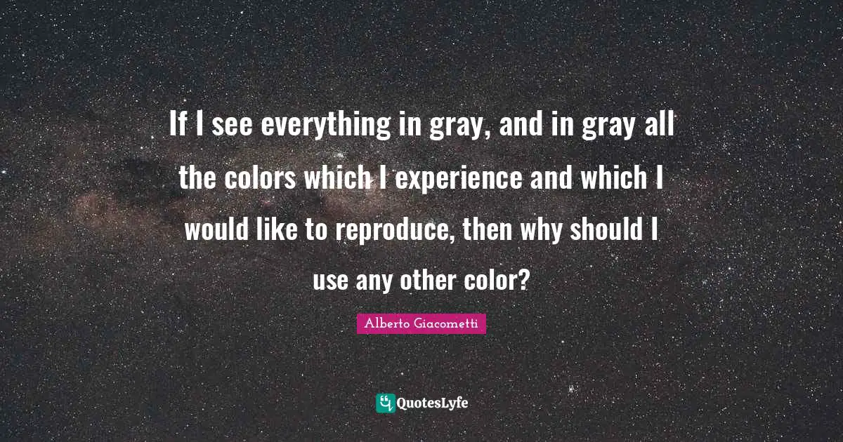 If I see everything in gray, and in gray all the colors which I experience and which I would like to reproduce, then why should I use any other color?