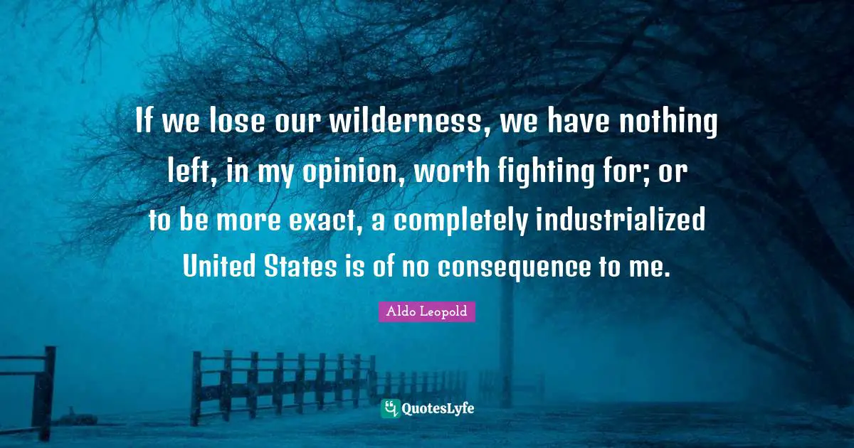 If we lose our wilderness, we have nothing left, in my opinion, worth fighting for; or to be more exact, a completely industrialized United States is of no consequence to me.