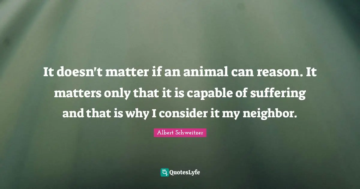It doesn't matter if an animal can reason. It matters only that it is capable of suffering and that is why I consider it my neighbor.