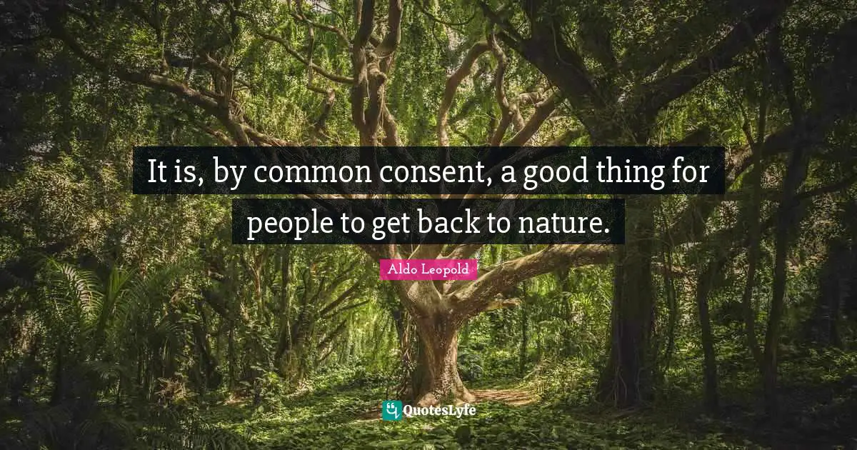 It is, by common consent, a good thing for people to get back to nature.