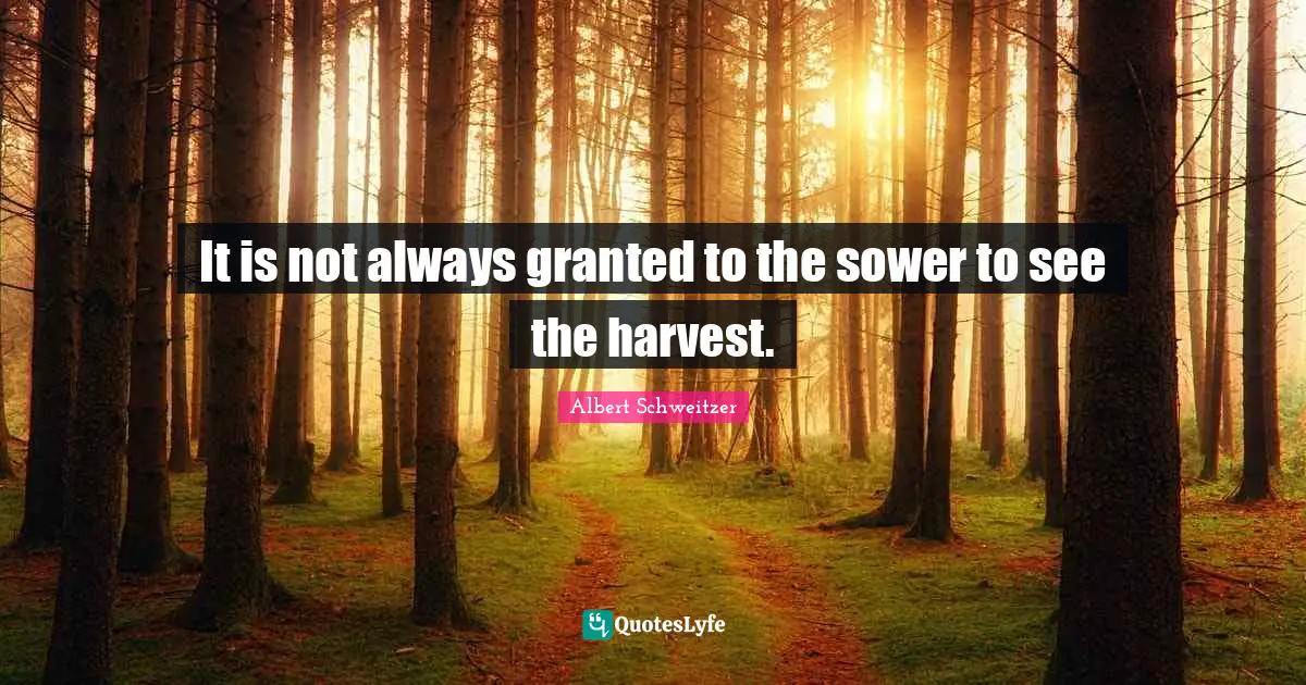 Albert Schweitzer Quotes: "It is not always granted to the sower to see the harvest."