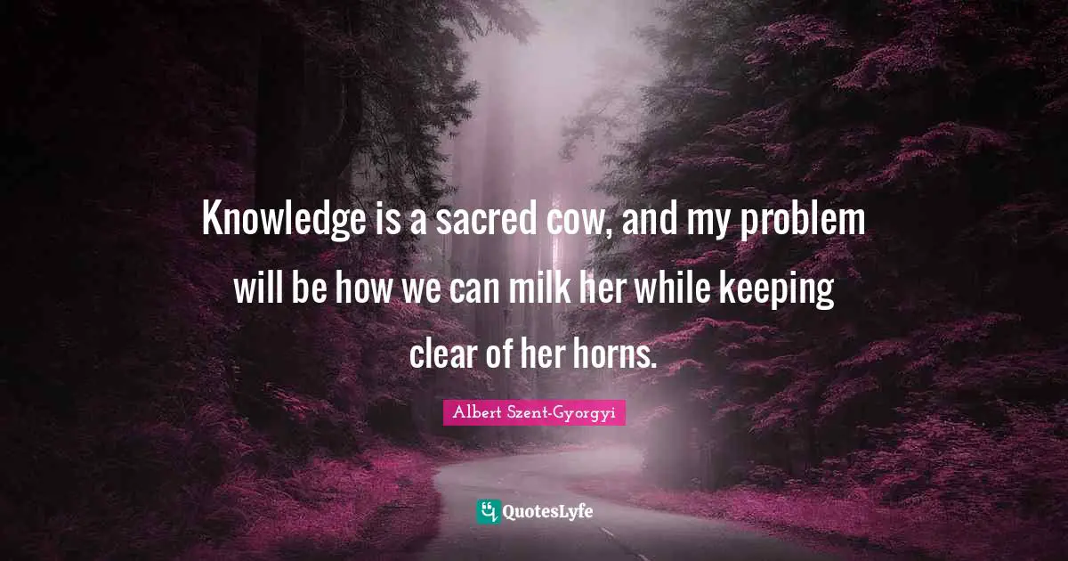 Knowledge is a sacred cow, and my problem will be how we can milk her while keeping clear of her horns.