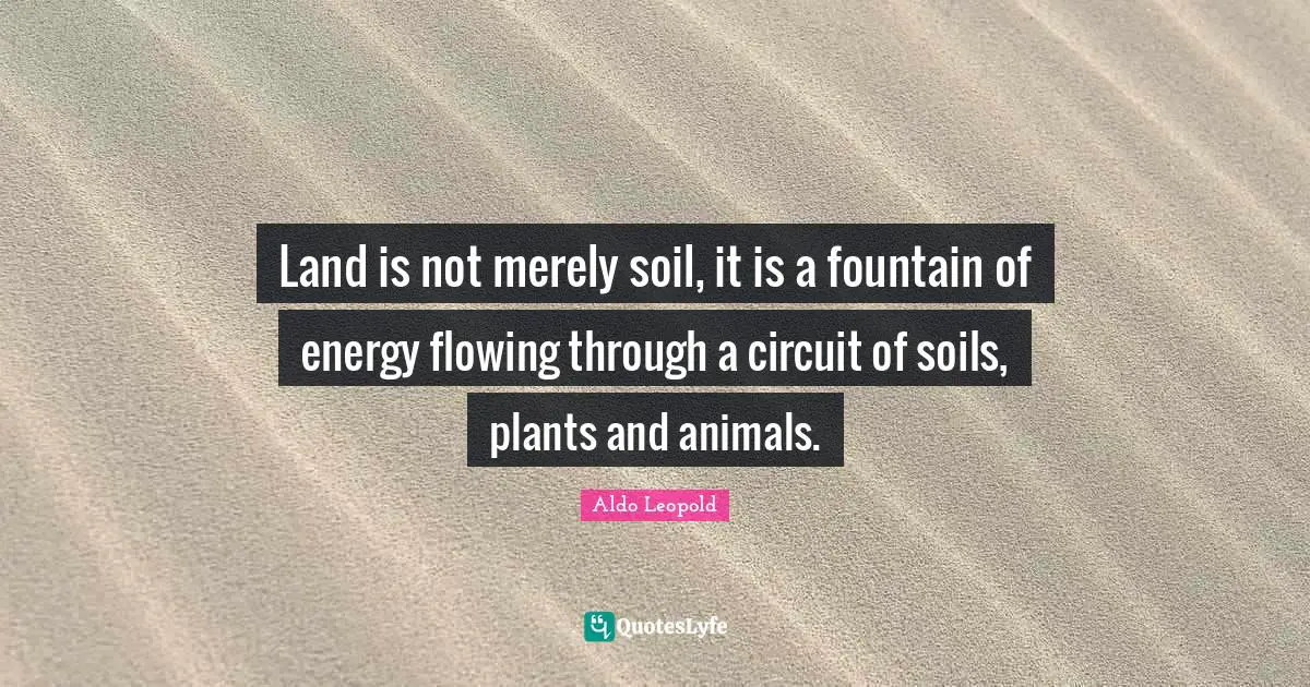 Fountain Quotes: "Land is not merely soil, it is a fountain of energy flowing through a circuit of soils, plants and animals."