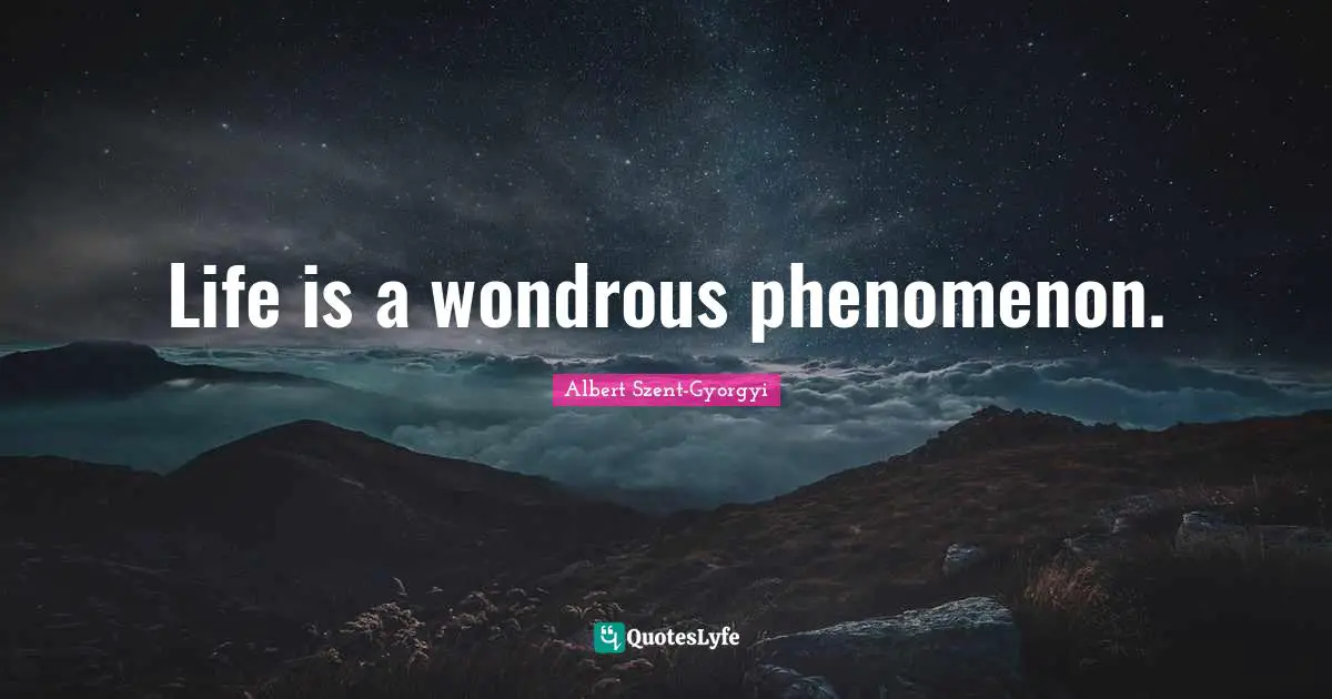 Life is a wondrous phenomenon.