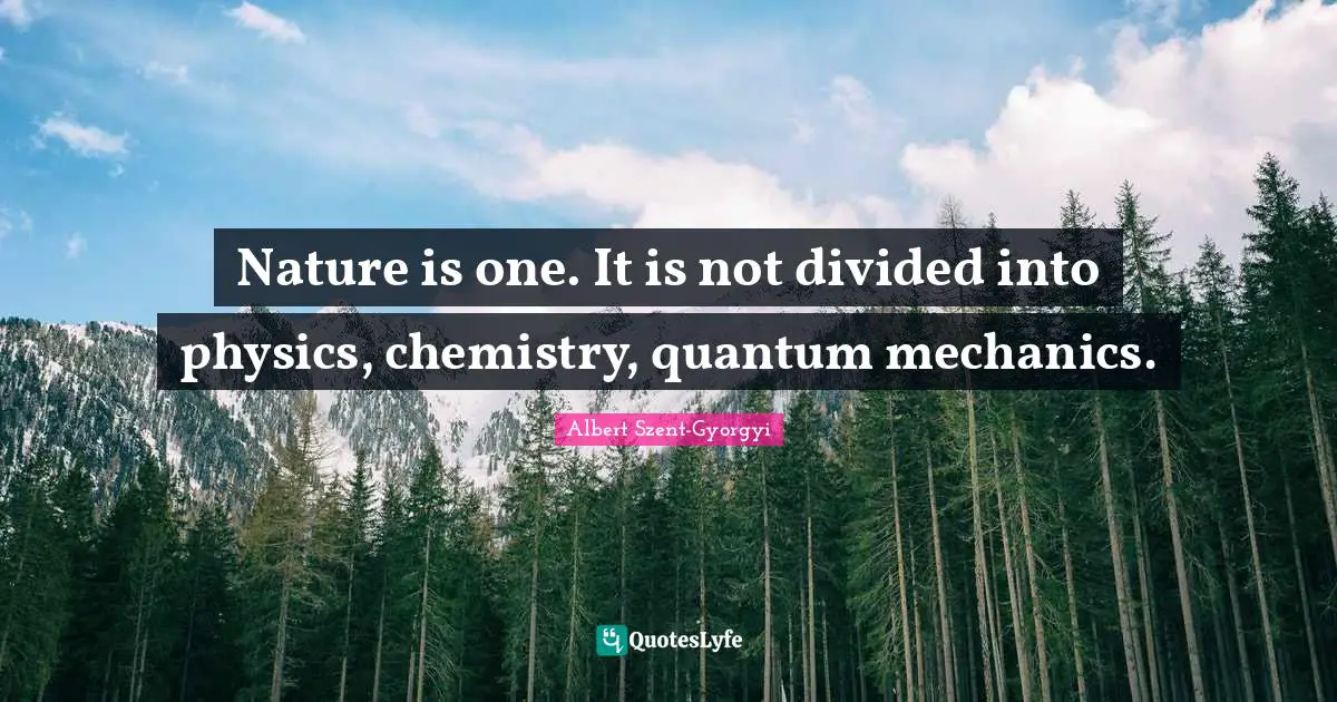Nature is one. It is not divided into physics, chemistry, quantum mechanics.