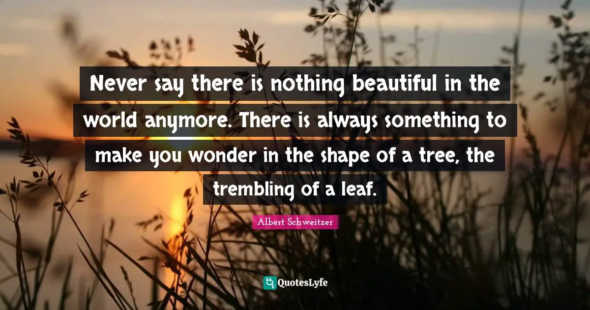 Albert Schweitzer Quotes: "Never say there is nothing beautiful in the world anymore. There is always something to make you wonder in the shape of a tree, the trembling of a leaf."