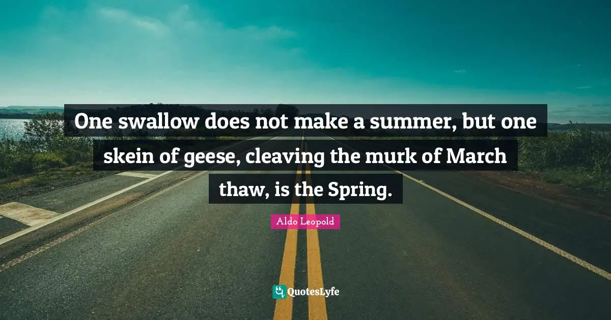 Geese Quotes: "One swallow does not make a summer, but one skein of geese, cleaving the murk of March thaw, is the Spring."