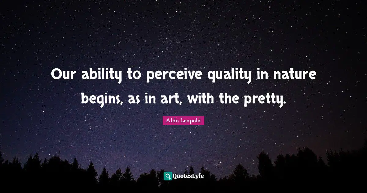 Our ability to perceive quality in nature begins, as in art, with the pretty.