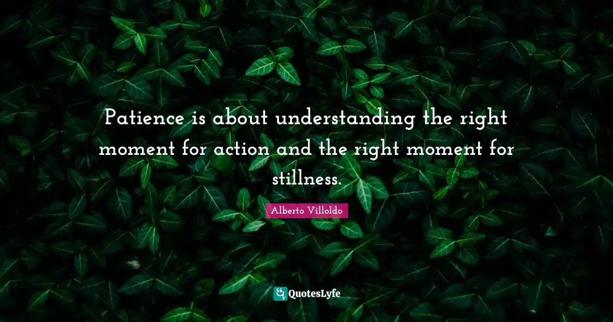 Patience is about understanding the right moment for action and the right moment for stillness.