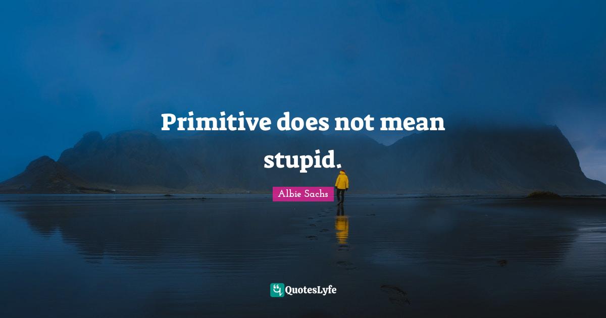 Primitive does not mean stupid.