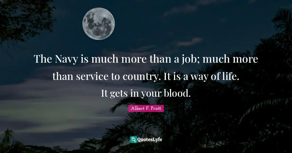 The Navy is much more than a job; much more than service to country. It is a way of life. It gets in your blood.