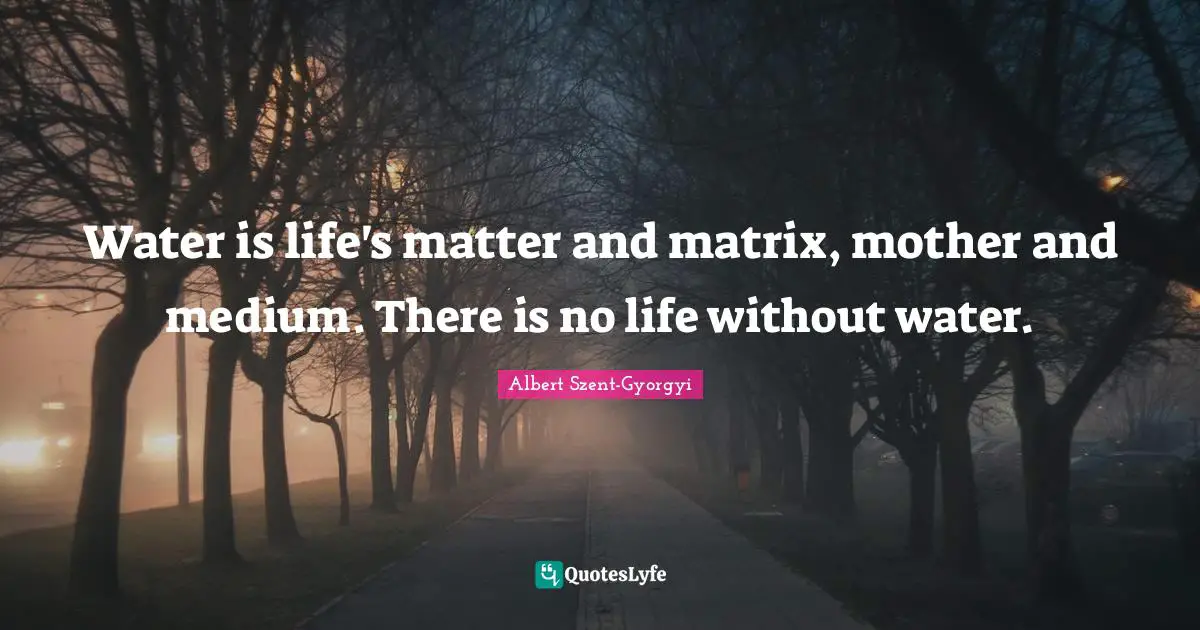 Mother Quotes: "Water is life's matter and matrix, mother and medium. There is no life without water."