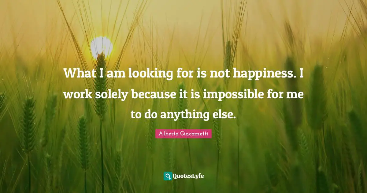 What I am looking for is not happiness. I work solely because it is impossible for me to do anything else.