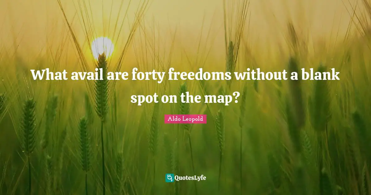 What avail are forty freedoms without a blank spot on the map?