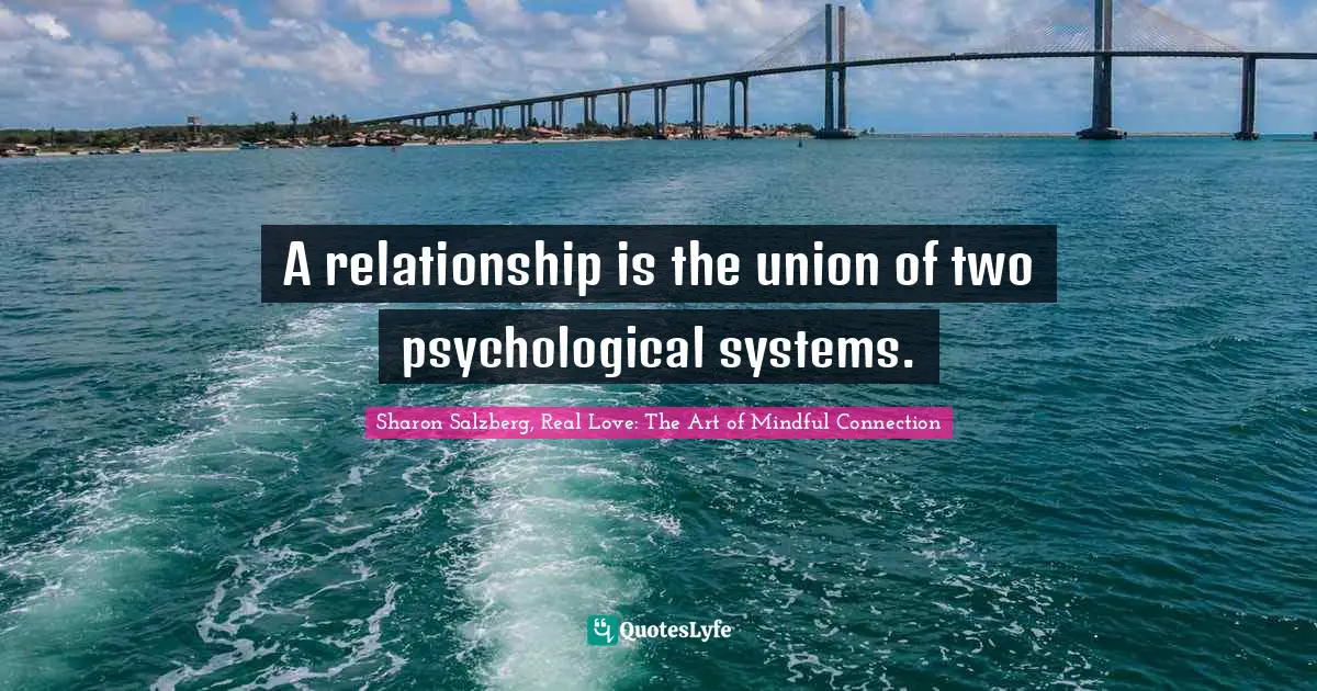 A relationship is the union of two psychological systems.