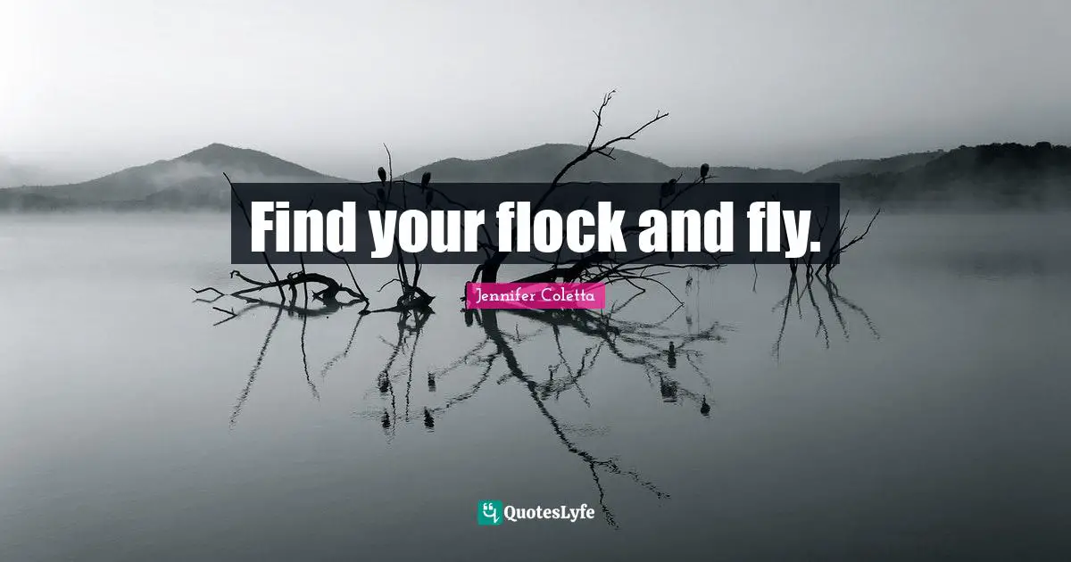 Find your flock and fly.