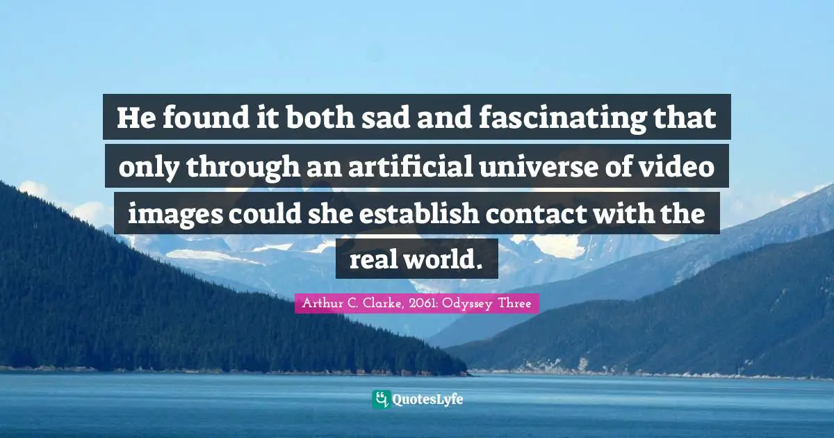 He found it both sad and fascinating that only through an artificial universe of video images could she establish contact with the real world.