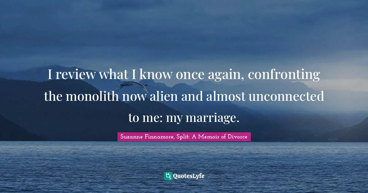 Breaking Up Quotes: "I review what I know once again, confronting the monolith now alien and almost unconnected to me: my marriage."