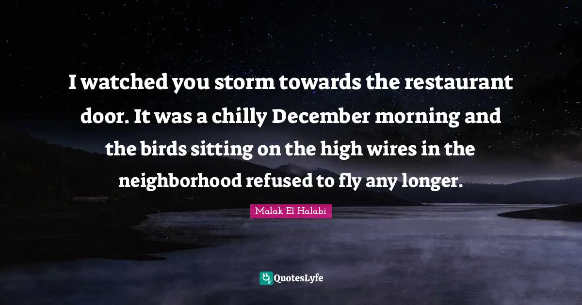I watched you storm towards the restaurant door. It was a chilly December morning and the birds sitting on the high wires in the neighborhood refused to fly any longer.