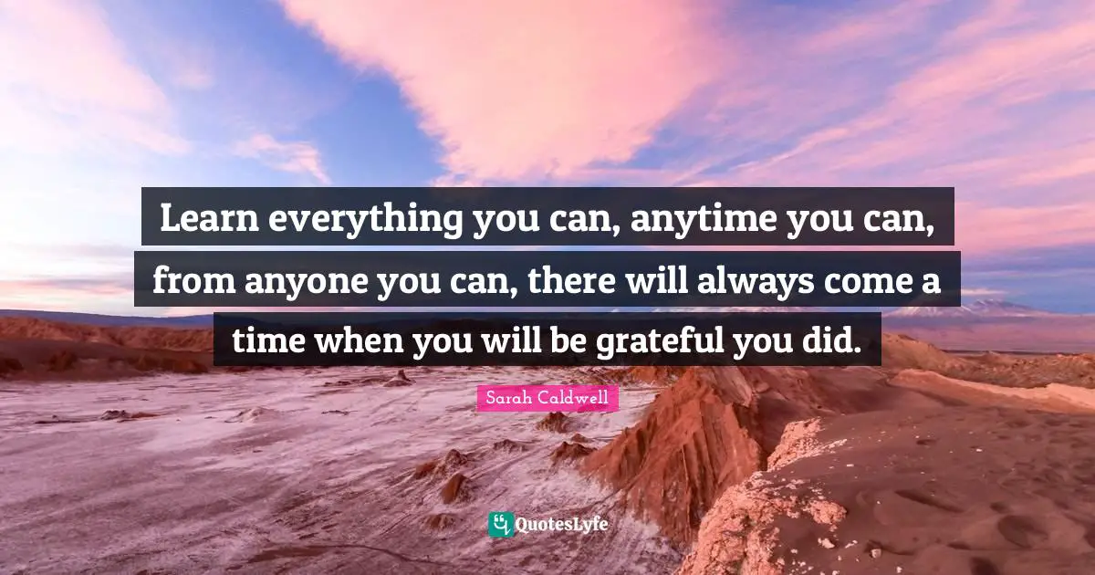 Learn everything you can, anytime you can, from anyone you can, there will always come a time when you will be grateful you did.