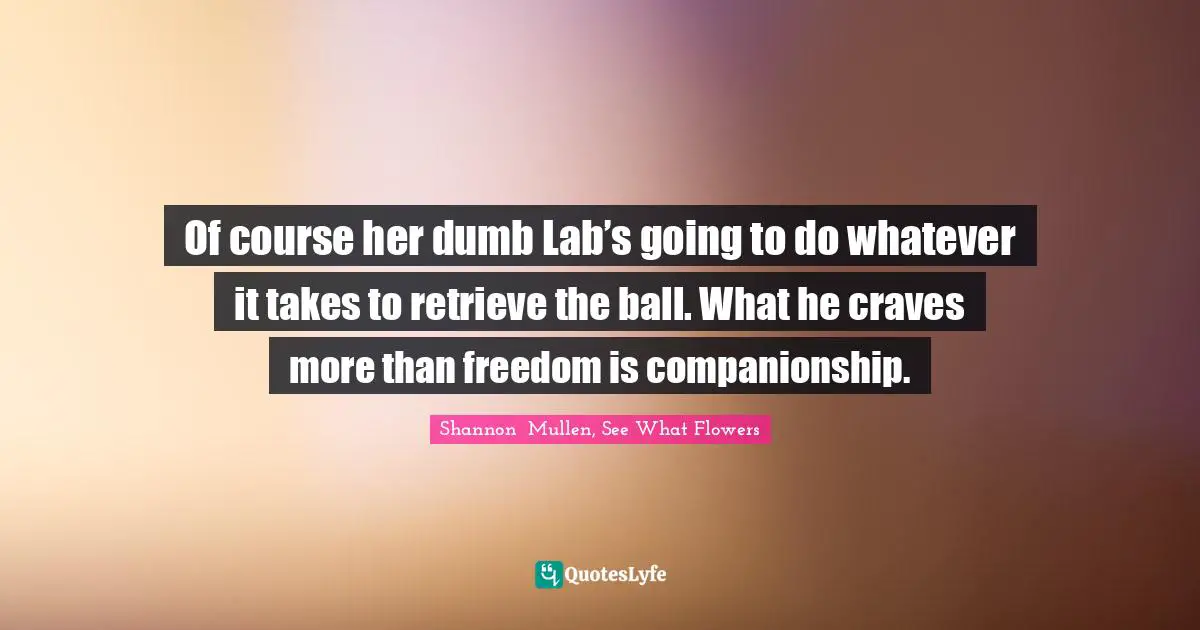 Of course her dumb Lab’s going to do whatever it takes to retrieve the ball. What he craves more than freedom is companionship.