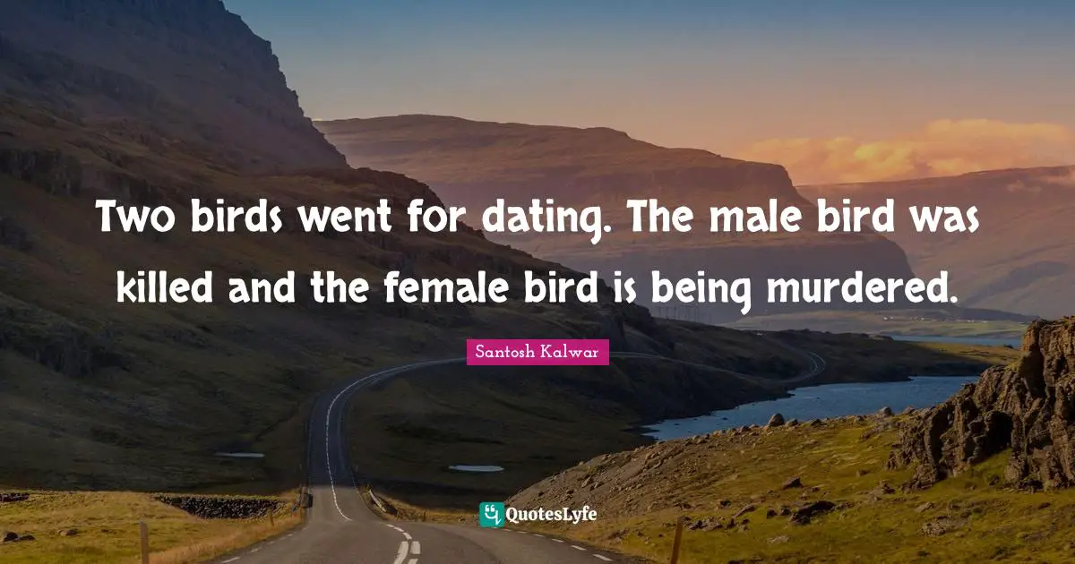 Two birds went for dating. The male bird was killed and the female bird is being murdered.