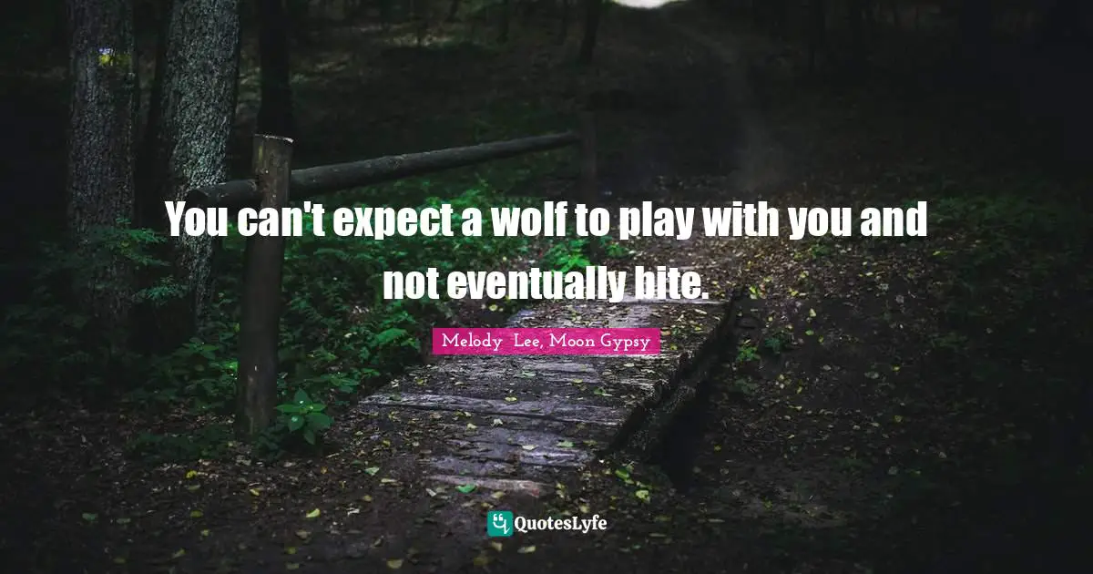You can't expect a wolf to play with you and not eventually bite.