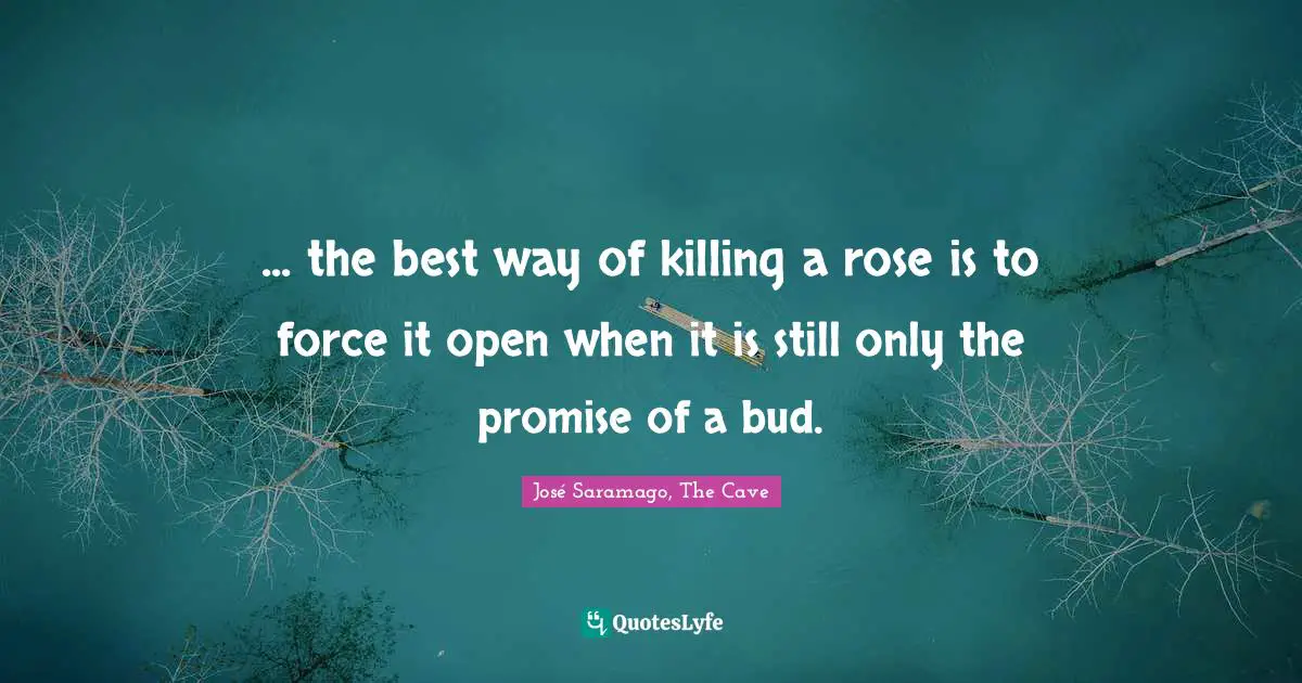 ... the best way of killing a rose is to force it open when it is still only the promise of a bud.