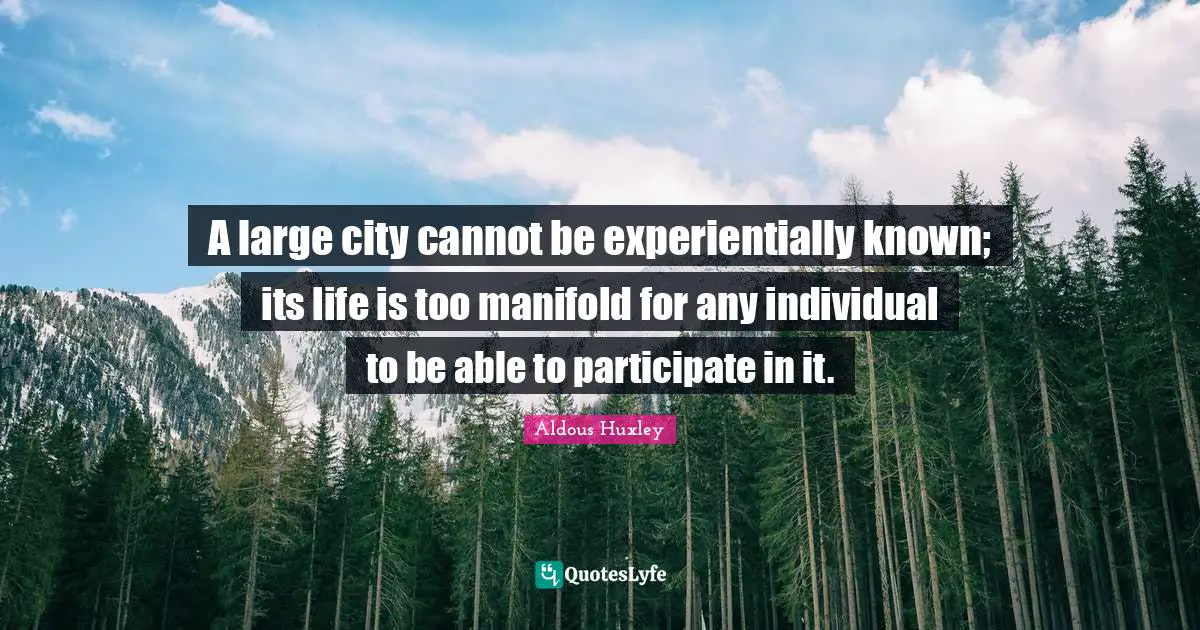 A large city cannot be experientially known; its life is too manifold for any individual to be able to participate in it.