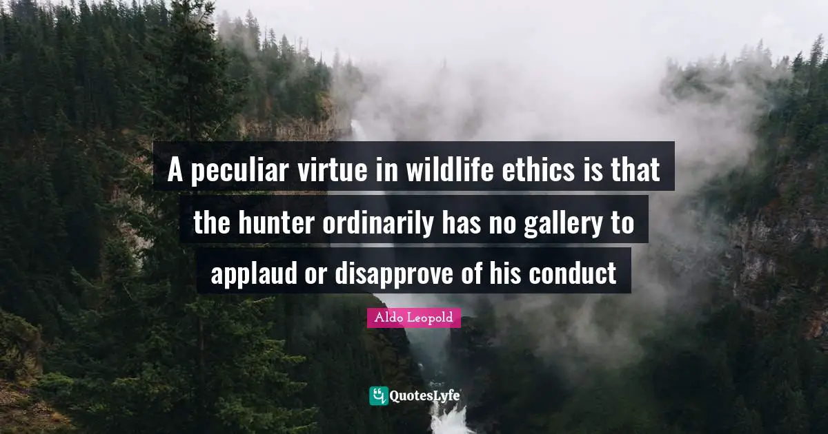 A peculiar virtue in wildlife ethics is that the hunter ordinarily has no gallery to applaud or disapprove of his conduct