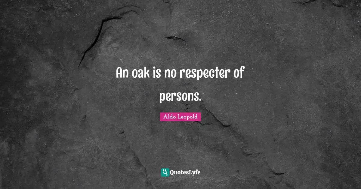 An oak is no respecter of persons.