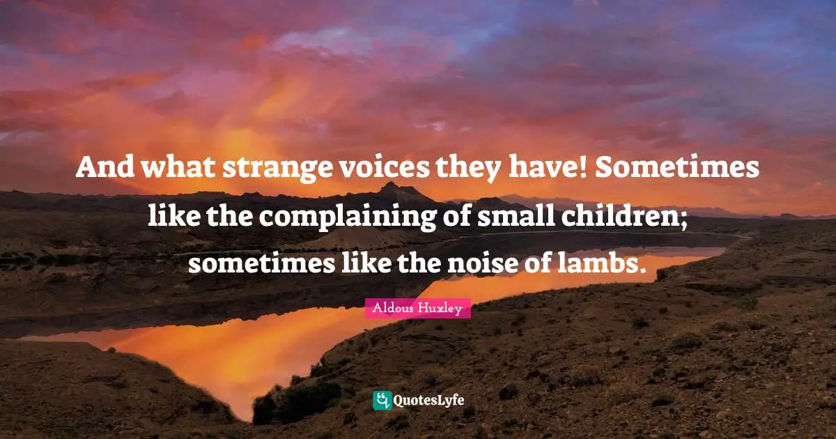 And what strange voices they have! Sometimes like the complaining of small children; sometimes like the noise of lambs.