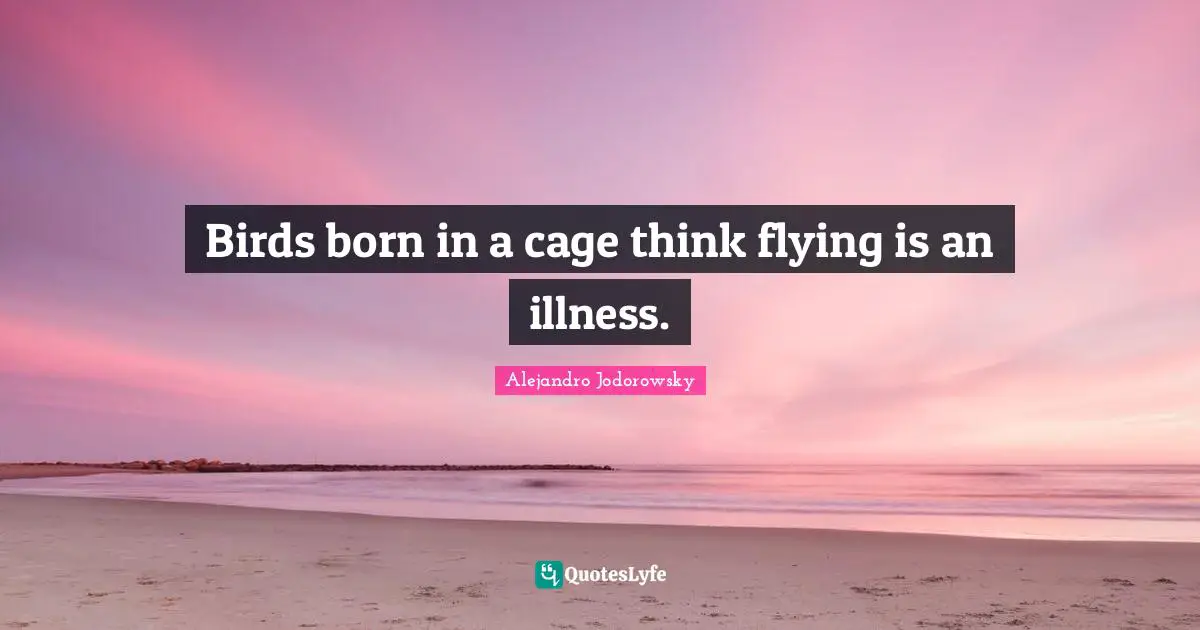 Flying Quotes: "Birds born in a cage think flying is an illness."