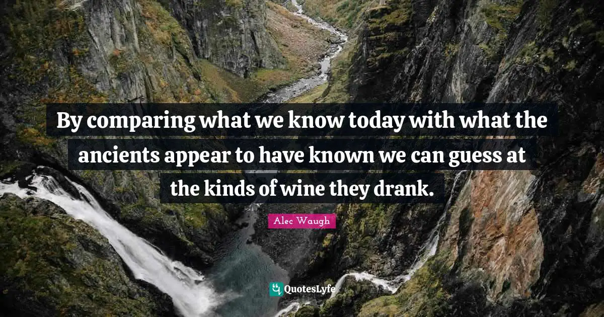 By comparing what we know today with what the ancients appear to have known we can guess at the kinds of wine they drank.