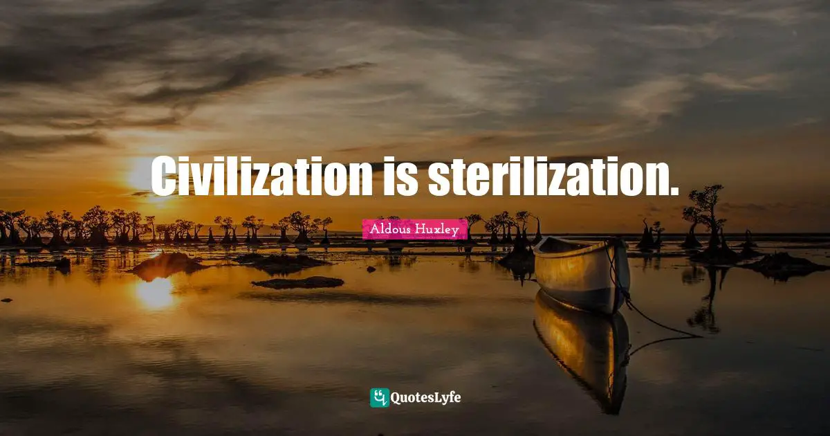 Civilization is sterilization.