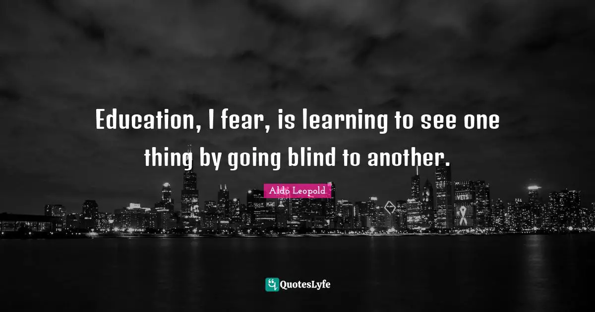 Education, I fear, is learning to see one thing by going blind to another.