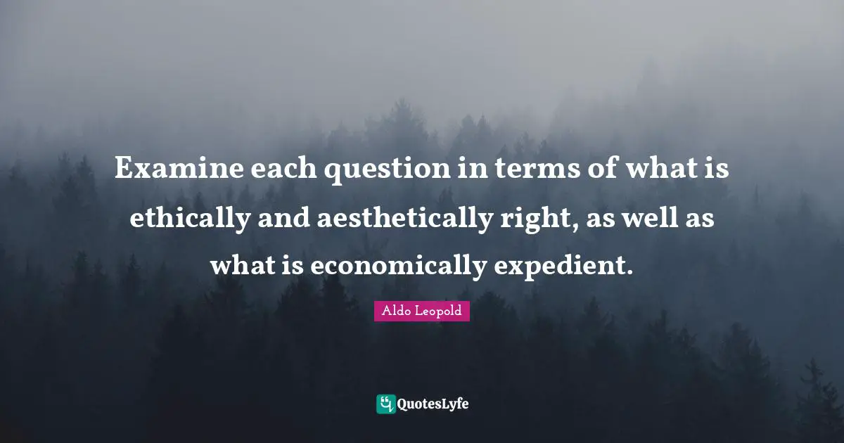 Land Use Quotes: "Examine each question in terms of what is ethically and aesthetically right, as well as what is economically expedient."