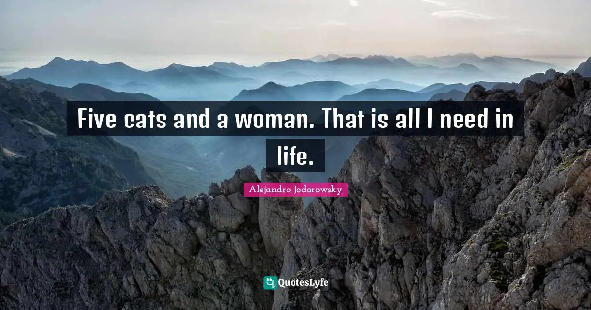 Five cats and a woman. That is all I need in life.