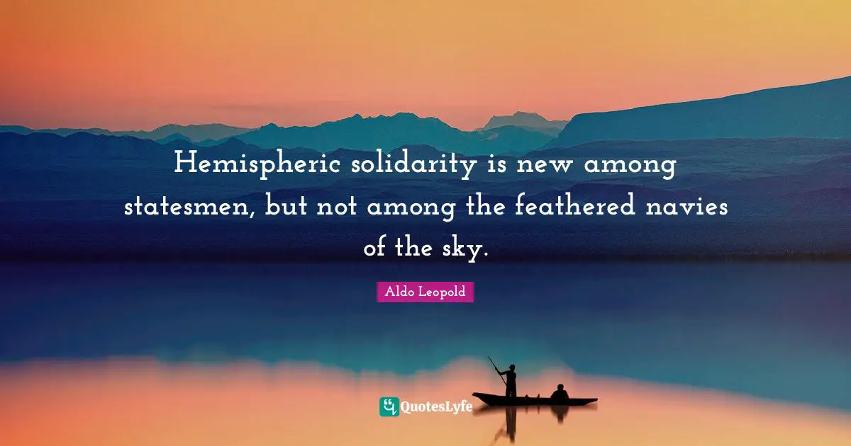 Hemispheric solidarity is new among statesmen, but not among the feathered navies of the sky.