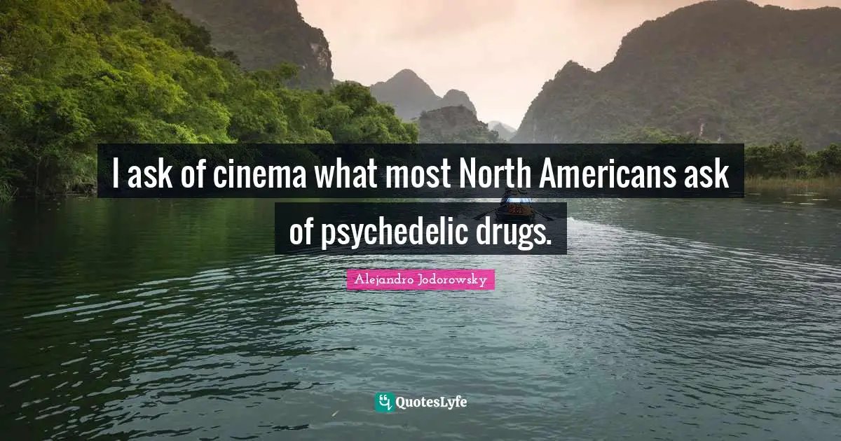 I ask of cinema what most North Americans ask of psychedelic drugs.