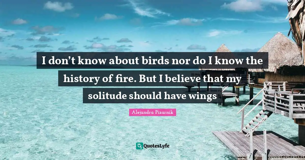 I don’t know about birds nor do I know the history of fire. But I believe that my solitude should have wings