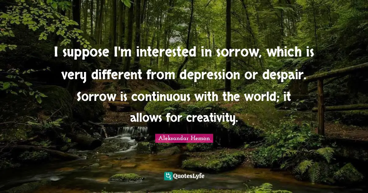 I suppose I'm interested in sorrow, which is very different from depression or despair. Sorrow is continuous with the world; it allows for creativity.