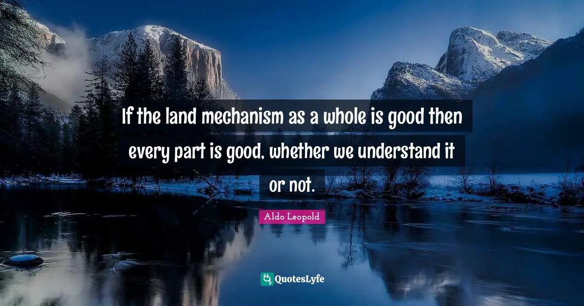 If the land mechanism as a whole is good then every part is good, whether we understand it or not.