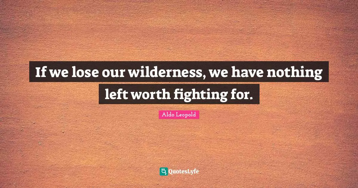 If we lose our wilderness, we have nothing left worth fighting for.