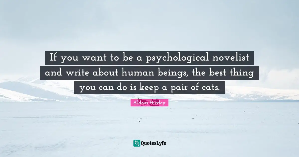 If you want to be a psychological novelist and write about human beings, the best thing you can do is keep a pair of cats.