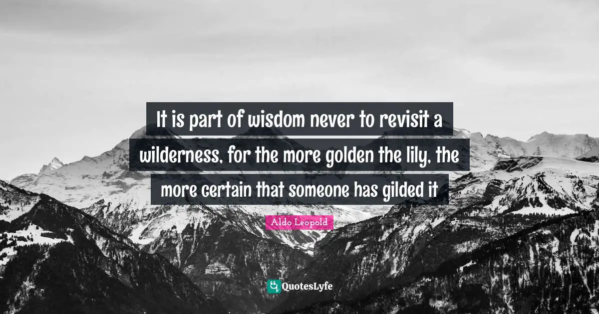 It is part of wisdom never to revisit a wilderness, for the more golden the lily, the more certain that someone has gilded it