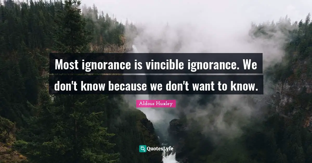Diversity Quotes: "Most ignorance is vincible ignorance. We don't know because we don't want to know."