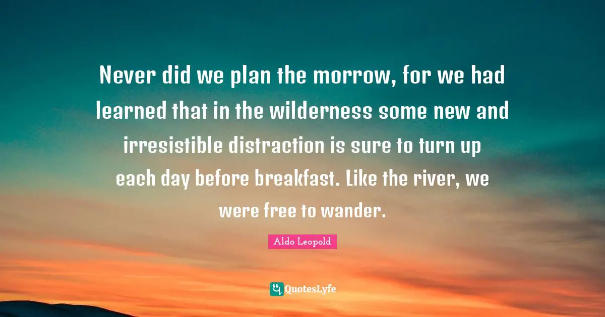 Never did we plan the morrow, for we had learned that in the wilderness some new and irresistible distraction is sure to turn up each day before breakfast. Like the river, we were free to wander.
